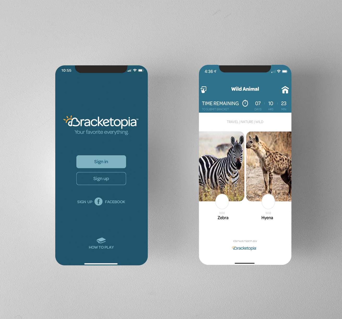 Project: Bracketopia 