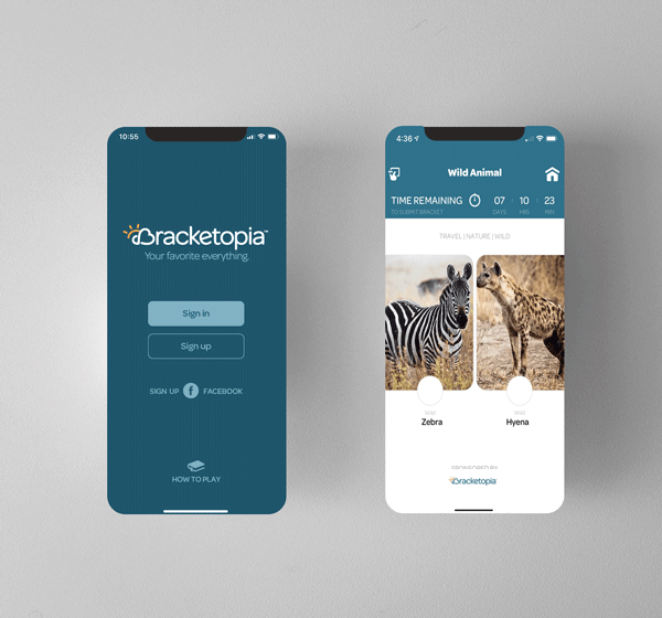 Project: Bracketopia